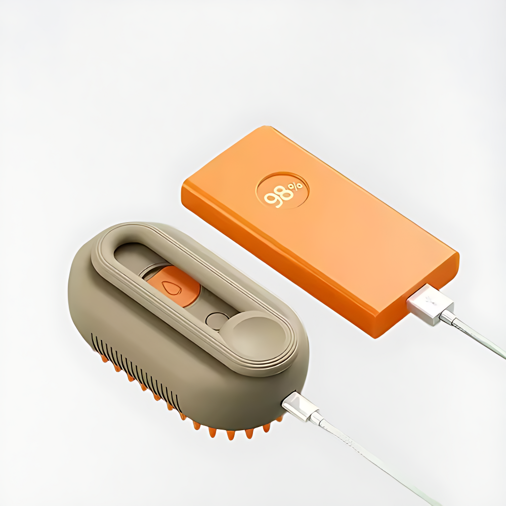 SteamBrush (integrerad USB-snabbladdning)