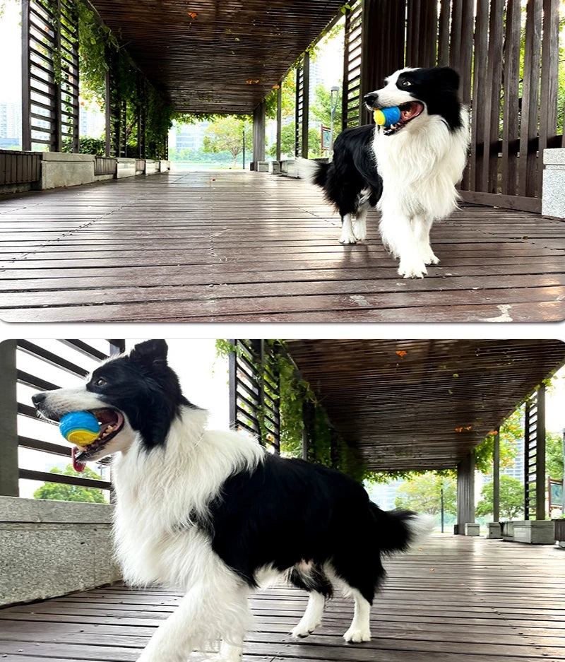 Funball hundboll (Mental stimulans)