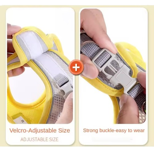 Reflex Hundsele - 2-4 / 4-6 / 6-9 / 8-12kg