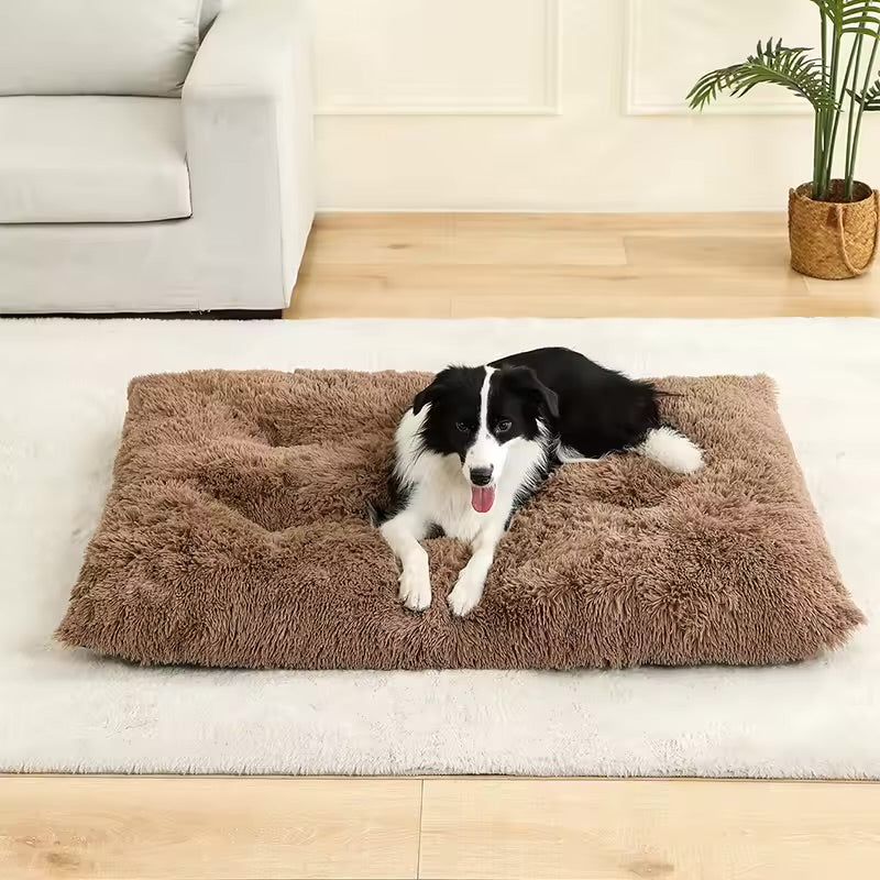Cozy Hundsäng - 40x60 / 60x80 / 70x100 / 80x120cm