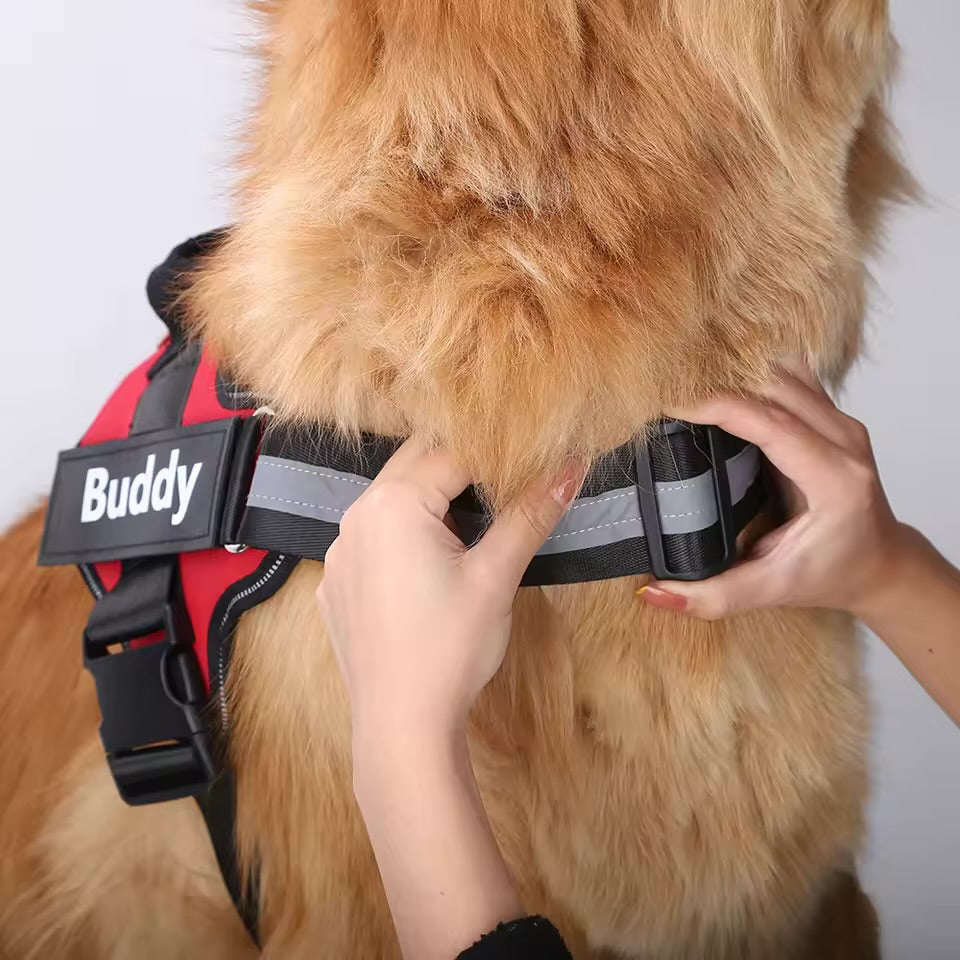 Personaliserat Hundsele - 7-15 / 14-20 / 20-35kg