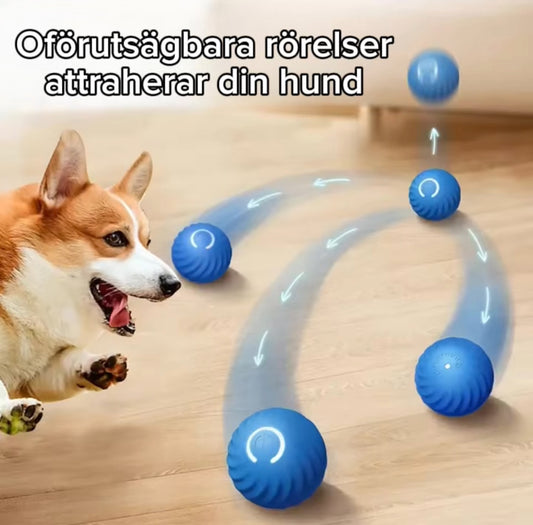 Smart hundboll - Laddbar och självrörlig leksak