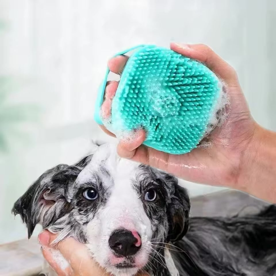 Hundborste med integrerad schamponering