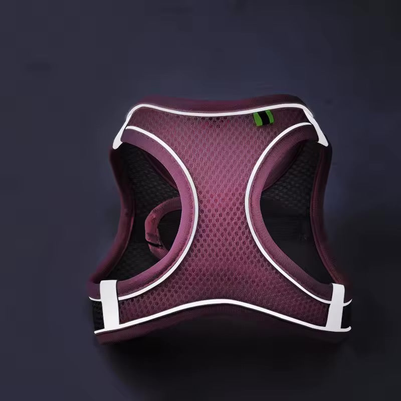 Reflex Hundsele - 2-4 / 4-6 / 6-9 / 8-12kg