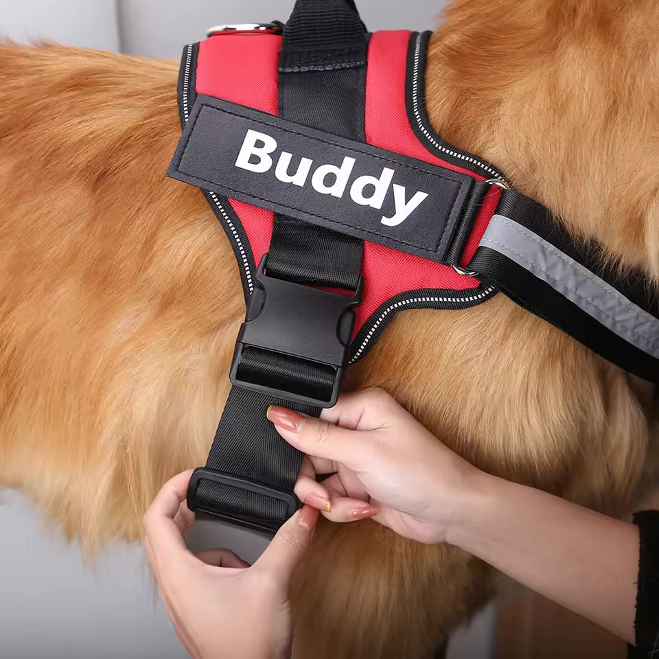 Personaliserat Hundsele - 7-15 / 14-20 / 20-35kg