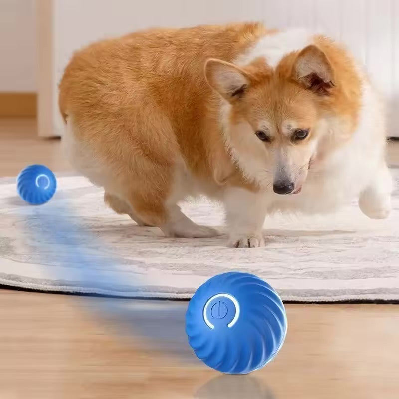 Smart hundboll - Laddbar och självrörlig leksak